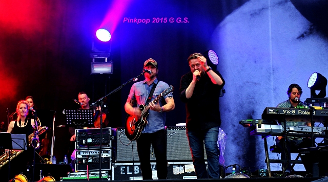 Elbow  (15).JPG
